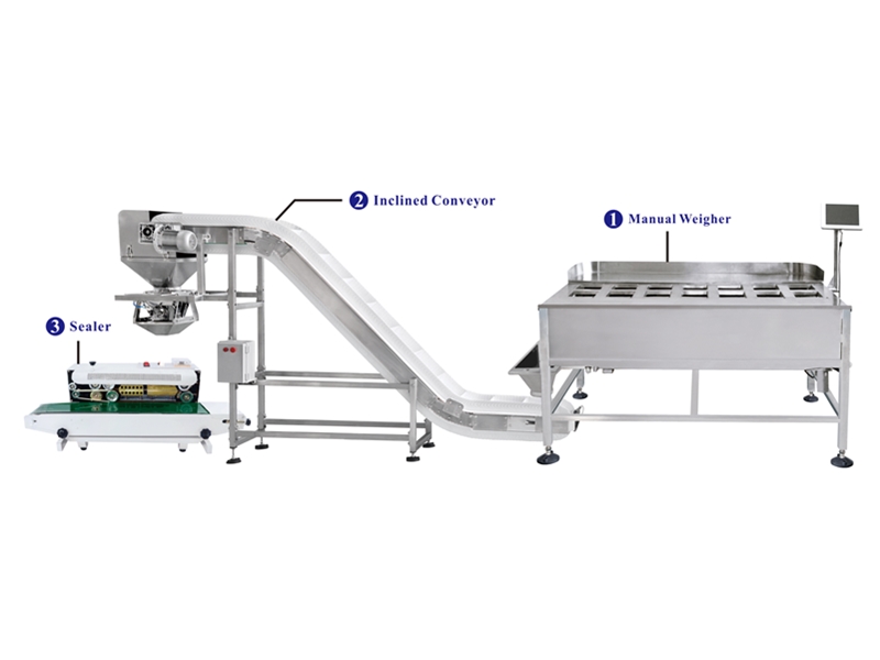 Weighing and packaging system by 14 head manual weigher