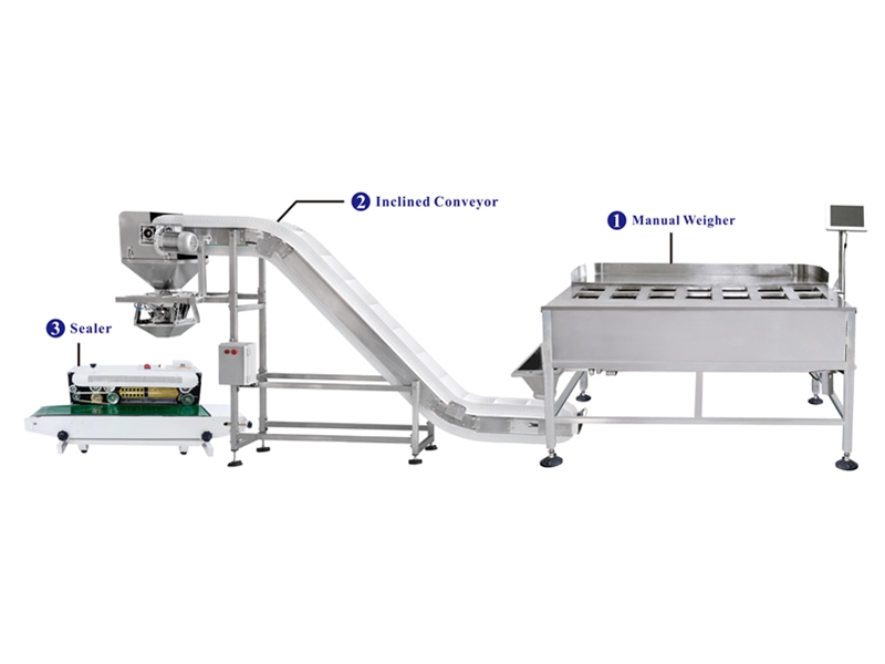 Weighing and packaging system by 14 head manual weigher 